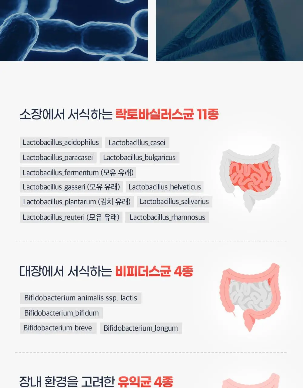 [20억 보장] 그린몬스터 혈당관리 유산균 하루 큐 30캡슐 (1개월분) 상세페이지 33